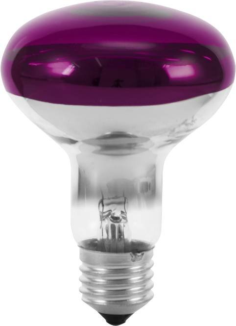 Eurolite 9210440U Glödlampa-lamp E27 Reflektor 60 W Violett (Ø x L) 80 mm x 110 mm 1 st